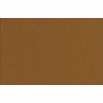 Бумага для пастели Fabriano Tiziano, В2, 160 г/м2, №09 caffe, коричневая, (16F2109)